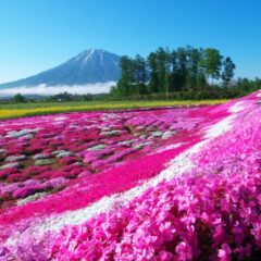 情報を一つに：北海道観光リゾート